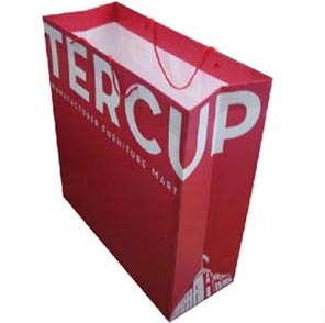 红底白字手提纸袋